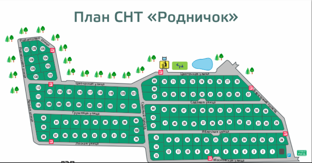 Схема СНТ